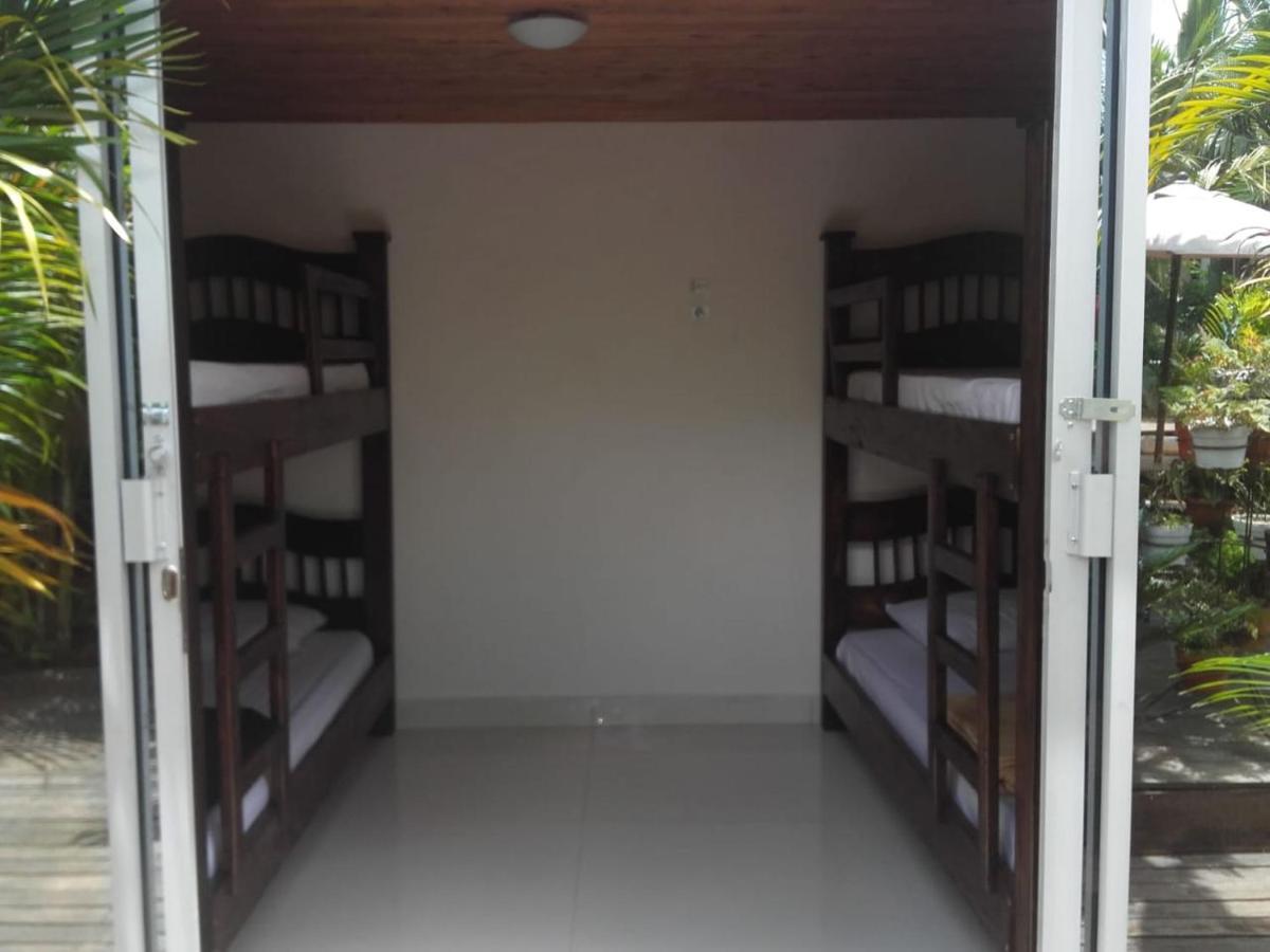 Bunk Bed in Mixed Dormitory Room