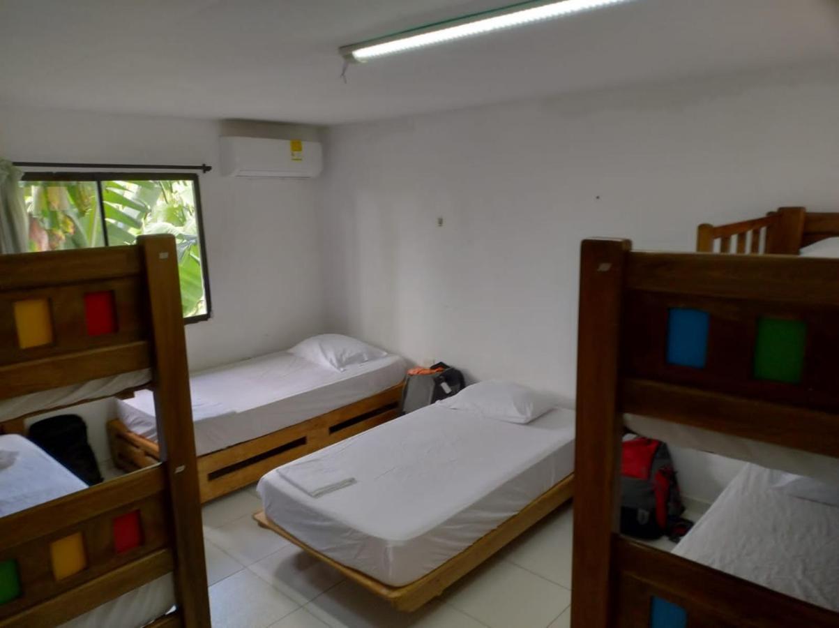 Single Bed 6-Bed Dormitory Room