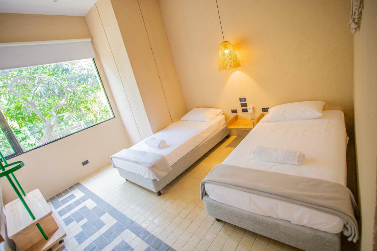 Superior Twin Room,946438627:JPEG