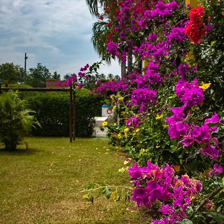 Hotel Villa Bosco-3