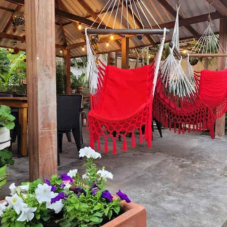 Hostal Hilltop Salento-3