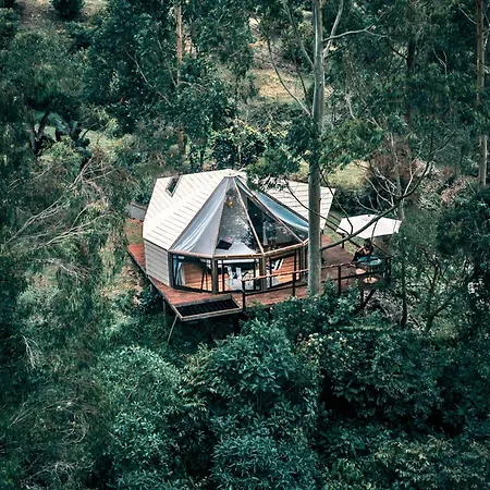 Lumbre Forest Lodge-3