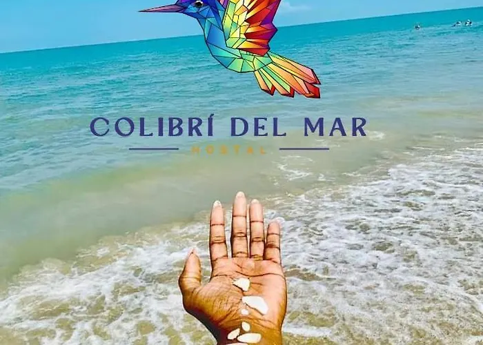 Colibri Del Mar
