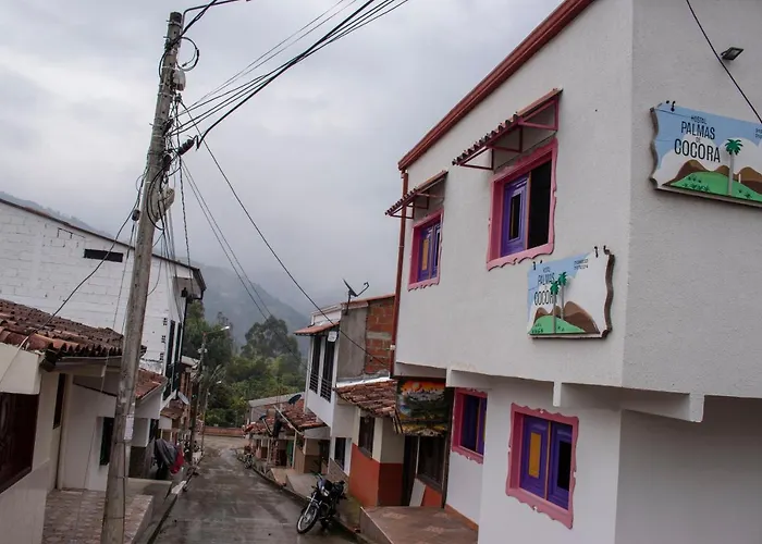 Hostal Palmas De Cocora